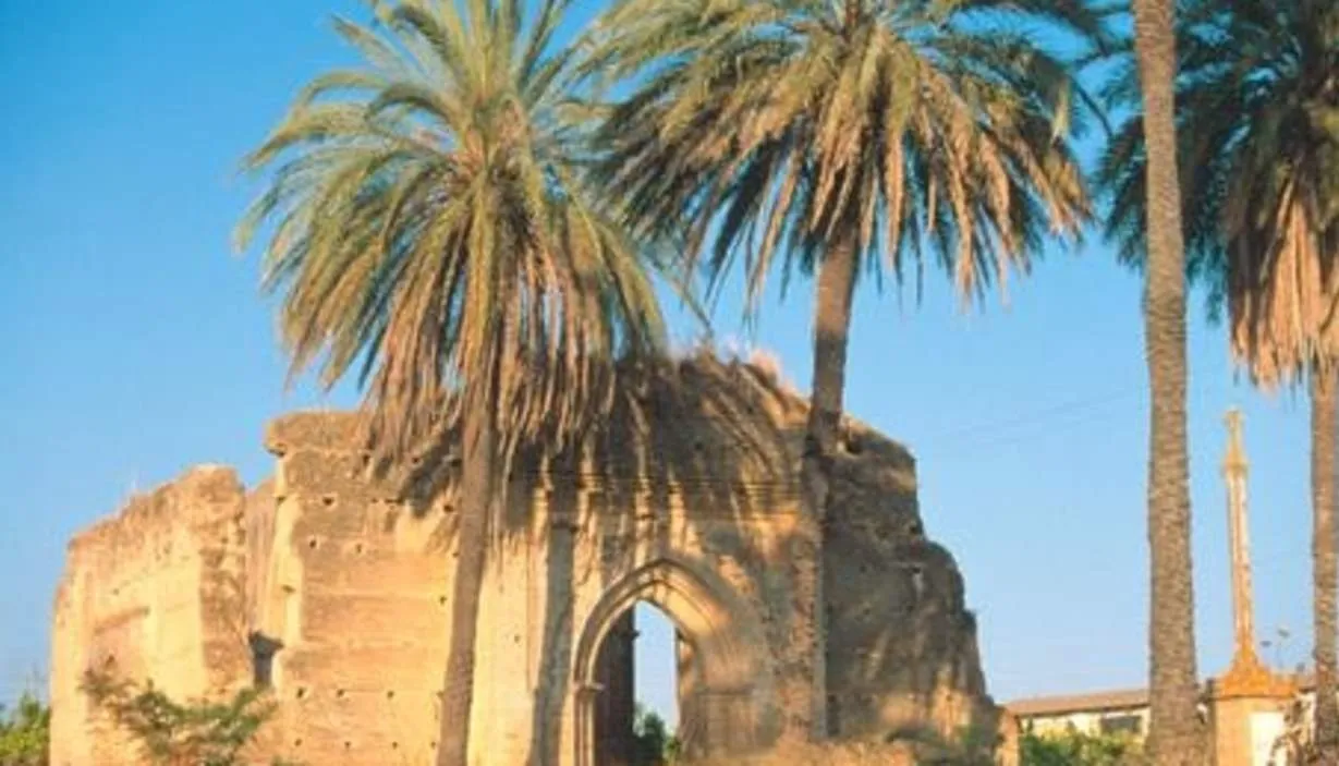 Rural Andalusi landscape